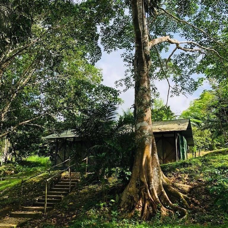 Eco Hotel Aldea -Amazonas Puerto Narino Luaran gambar