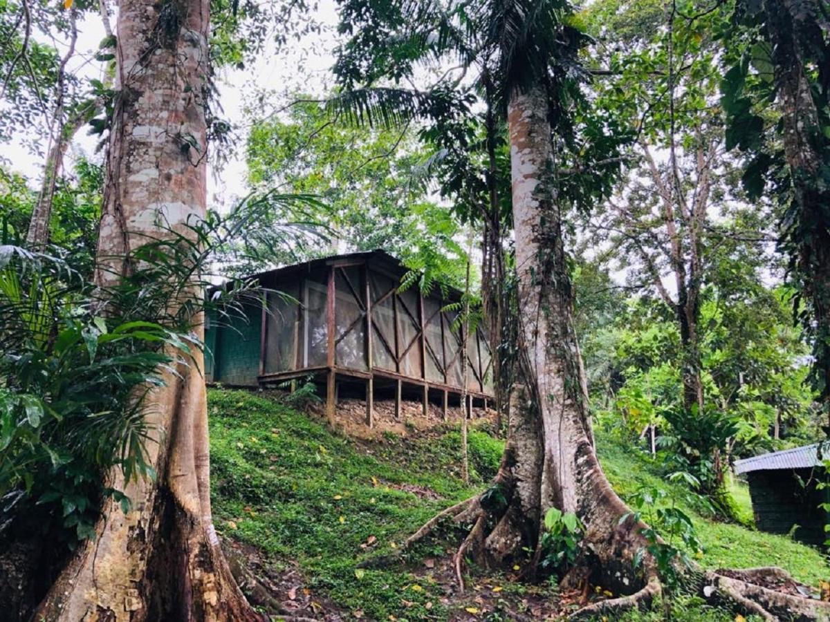 Eco Hotel Aldea -Amazonas Puerto Narino Luaran gambar