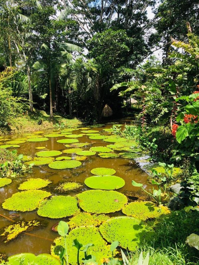 Eco Hotel Aldea -Amazonas Puerto Narino Luaran gambar